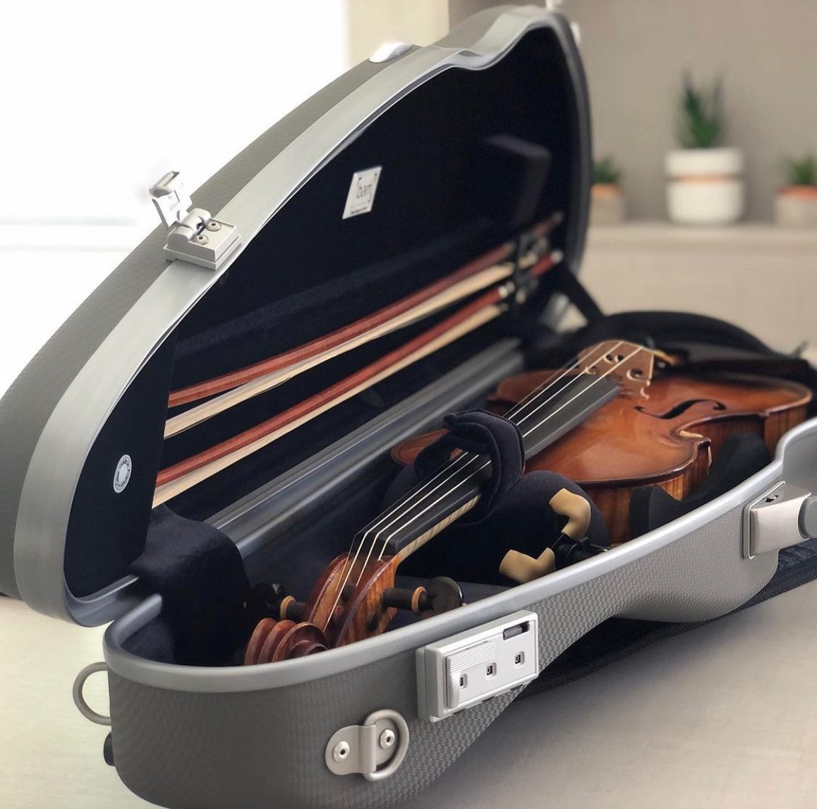Violin Cases