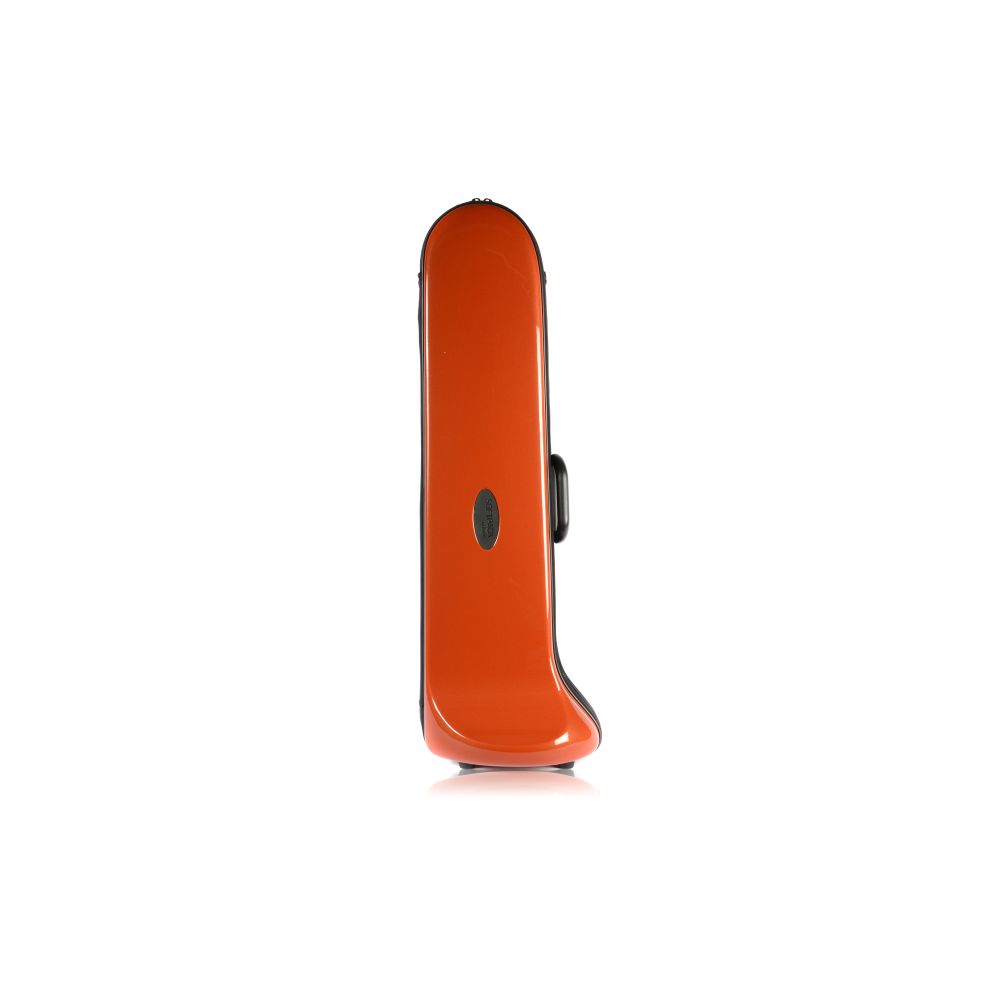 Softpack Trombone Case