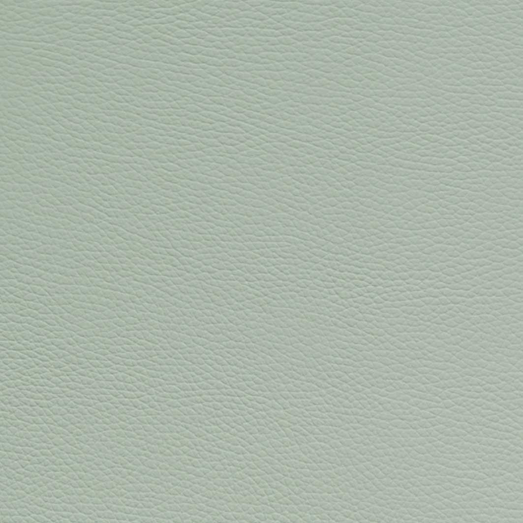 L'Etoile Cabine Tenor Saxophone Case