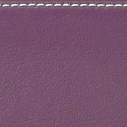 L'Etoile Hightech 6 Bows Case